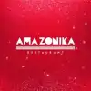 Logo de CORPORACION AMAZONIKA S.A.C.