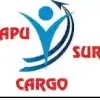 Logo de APUSUR CARGO E.I.R.L