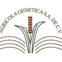 DIRECTORIO DE EMPRESAS Y NEGOCIOS DE PERU - RUC 20608924982 - GENETICA AGRICOLA S.A.C.