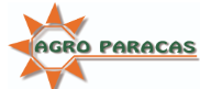 AGRO PARACAS S.A., CARNE, PESCADO / FRUTAS, LEGUMBRES, PISCO, Marketing,Emprendimiento