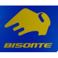 BISONTE CARGO S.R.L.