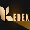 Logo de KEDEX SAC