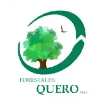 DIRECTORIO DE EMPRESAS Y NEGOCIOS DE PERU - RUC 20604257311 - FORESTALES QUERO E.I.R.L.